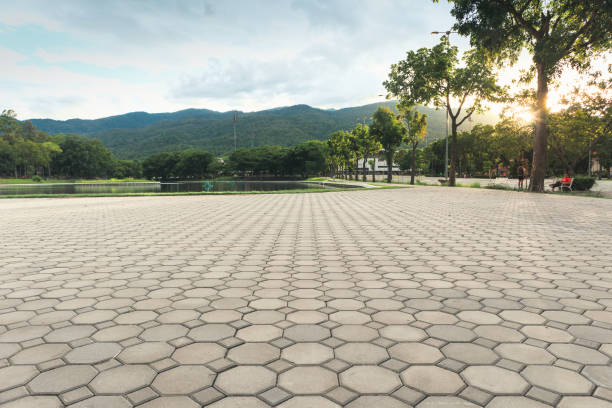 Reliable Princeville, NC Driveway Pavers Solutions